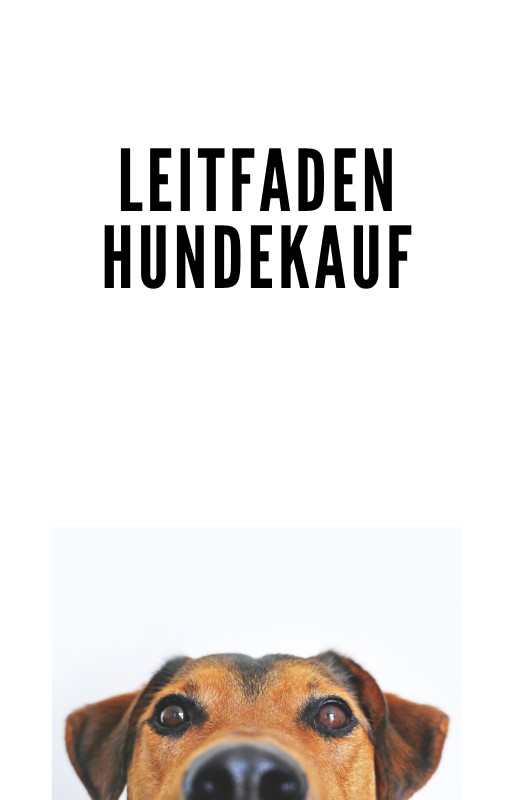 Leitfaden zum Hundekauf Cover Leitfaden zum Hundekauf Cover