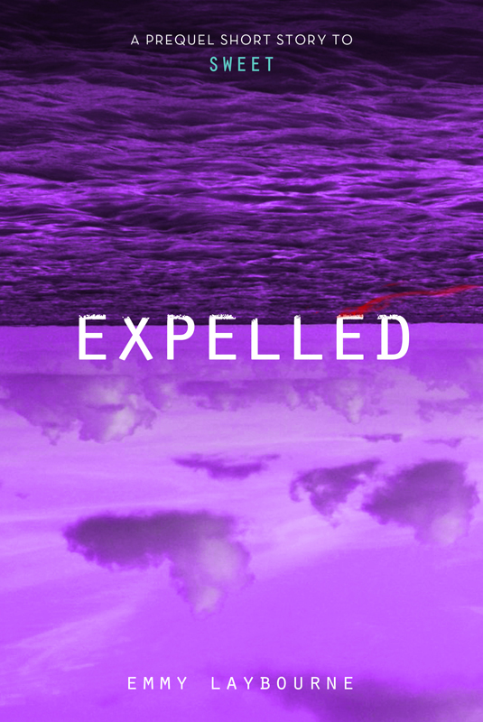 sweet-05-expelled-feiwel-friends-9781250082336 sweet-05-expelled-feiwel-friends-9781250082336