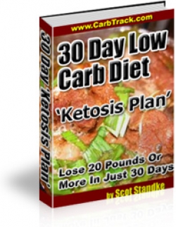 30 Day Low Carb Diet Ketosis Plan Cover 30 Day Low Carb Diet Ketosis Plan Cover