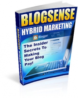 Blog Sense Hybrid Marketing Cover Blog Sense Hybrid Marketing Cover