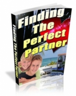 Finding The Perfect Partner Cover Finding The Perfect Partner Cover