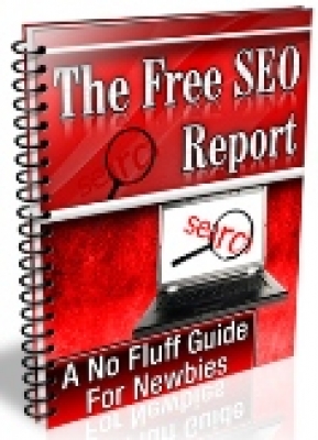 The Free SEO Report Cover The Free SEO Report Cover
