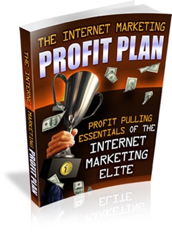 The Internet Marketing Profit Plan Cover The Internet Marketing Profit Plan Cover