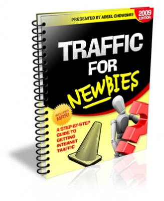 Traffic For Newbies Cover Traffic For Newbies Cover